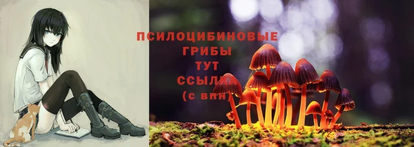 героин Абаза