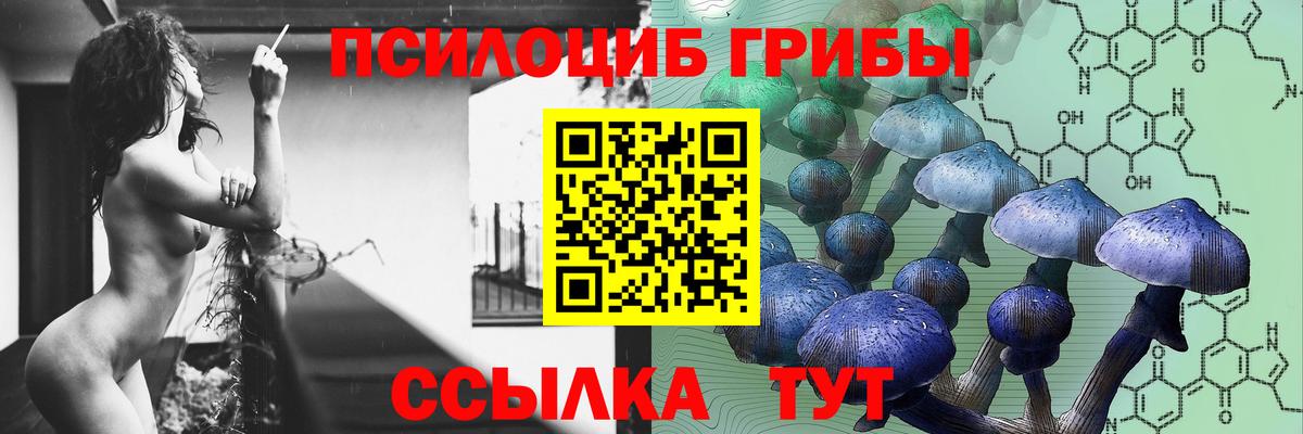 купить закладку  Псилоцибиновые грибы MAGIC MUSHROOMS  Вход с VPN  Новоалтайск  Псилоцибиновые грибы ЛСД 