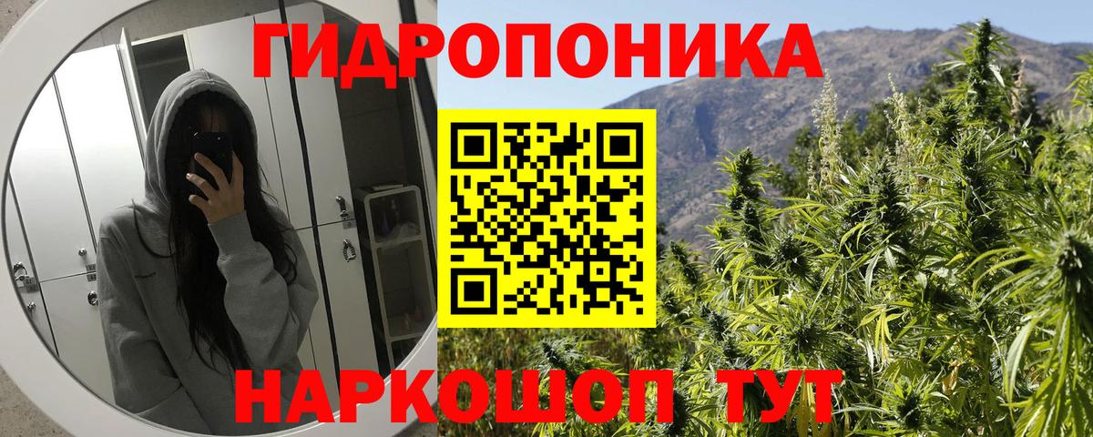 Канабис Bruce Banner  Вход с VPN  Канабис VHQ  Новоалтайск  Канабис планчик  Марихуана VHQ 